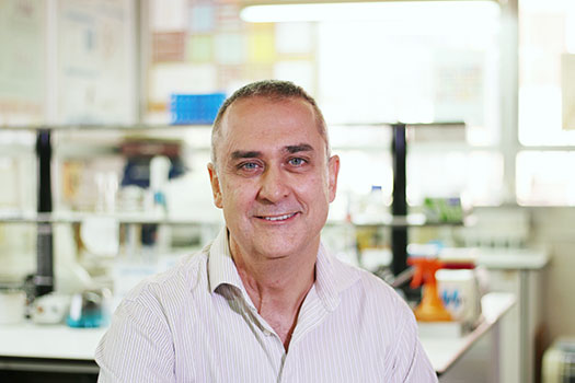 Dr. Francisco Cazorla