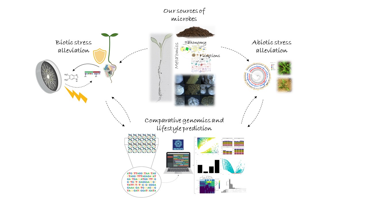 Overview of Carrion Lab research lines